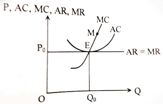 perfect competition market, hsc economics perfect competition market, hsc economics